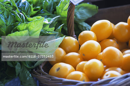 Organic yellow tomatoes and basil herb leaves on a market stall.