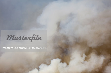 A large forest fire near Ellensburg in Kittitas county, Washington state, USA.