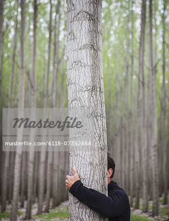 A poplar tree nursery plantation in Oregon, USA. A man hugging a tree