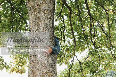 Man hugging tree