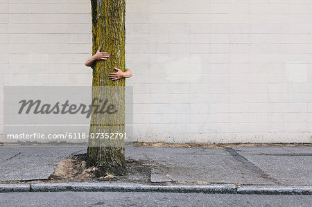 Man hugging tree on urban street and sidewalk
