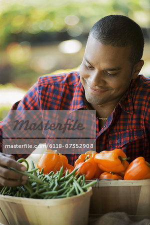 Organic Vegetable on Display with Farmer; Green Beans; Yellow and Red Bell Peppers