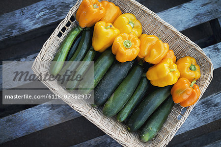 Organic Zucchini in basket with Yellow and Orange Bell Peppers Organic Zucchini in basket with Yellow and Orange Bell Peppers