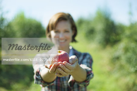 A woman in a plaid shirt holding a freshly picked apple in her cupped hands in the orchard at an organic fruit farm.