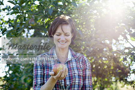 A woman in a plaid shirt holding a large fresh picked apple in the orchard at an organic fruit farm.