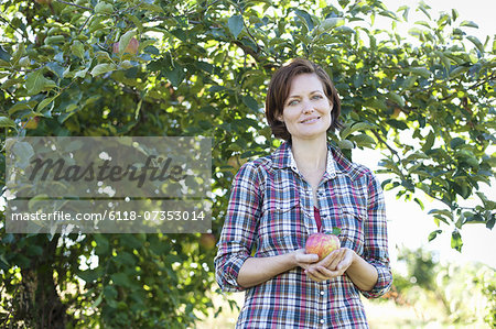 A woman in a plaid shirt holding a large freshly picked apple, in the orchard at an organic fruit farm.