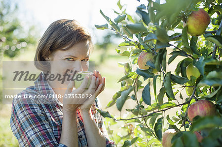 A woman in a plaid shirt smelling the freshly picked ripe apple in her hand at an organic fruit farm.