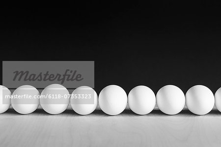 Row of white, free range, organic eggs, black background