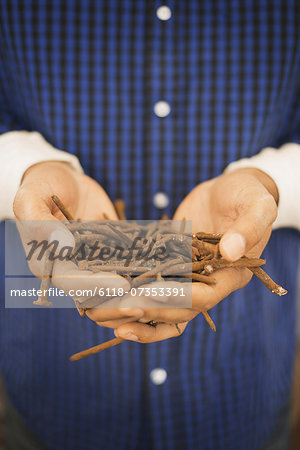 A person holding a heap of rusting metal nails taken from reclaimed timber.