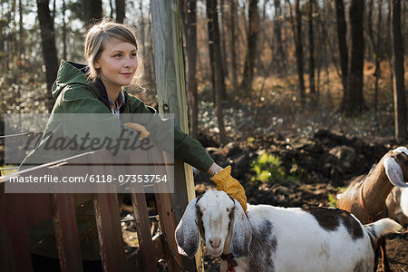 A woman standing in a paddock with a flock of goats, on an organic dairy farm.