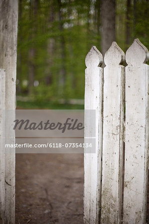 A white picket fence, with an open garden gate.