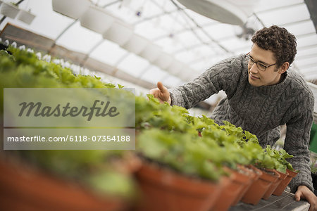 A man working in a greenhouse tending young plants in pots.