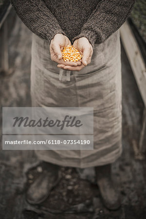 Spring Planting. A man holding a handful of plant seeds in his cupped hands.