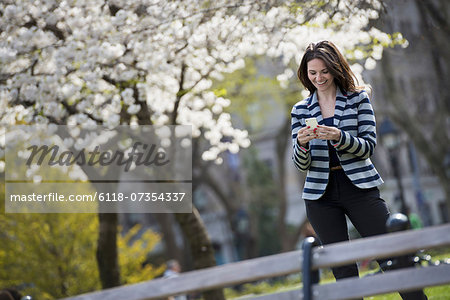 Outdoors in the city in spring time. New York City park. White blossom on the trees. A woman standing checking her mobile phone.