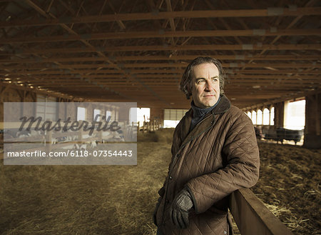 An Organic Farm in Winter in Cold Spring, New York State. A farmer in a livestock barn with sheep at lambing time.
