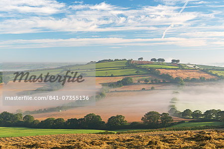 Mist covered rolling countryside at dawn, near Crediton, Devon, England, United Kingdom, Europe