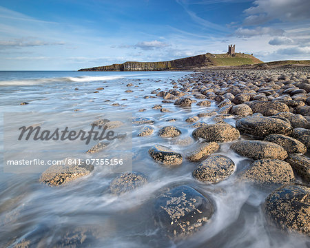 The ruins of Dunstanburgh Castle overlooking the boulder strewn shores of Embleton Bay, Northumberland, England, United Kingdom, Europe