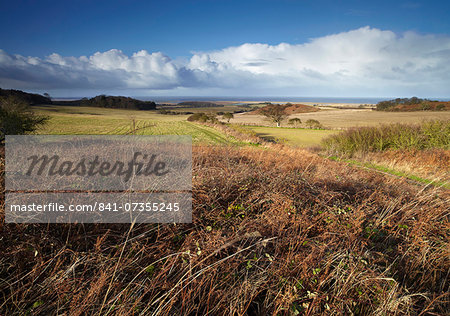 A bright winter day looking towards the North Sea at Salthouse Heath, Norfolk, England, United Kingdom, Europe