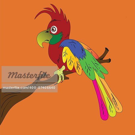 colorful illustration with parrot for your design