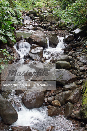 Creek in the rainforest of Guadeloupe, Caribbean