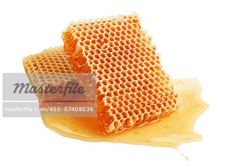 fresh golden honeycomb isolated on white background