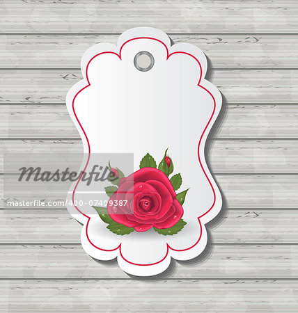 Illustration elegant card with red rose for Valentine Day - vector