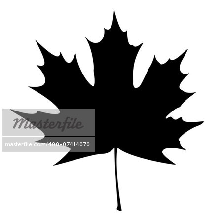 Maple Leaf Silhouette for your design. EPS10 vector illustration.