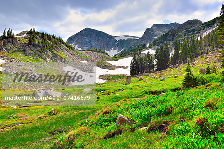 high altitude alpine tundra in Colorado during summer