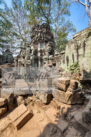 Ta Prohm temple with giant banyan tree at Angkor Wat complex, Siem Reap, Cambodia.