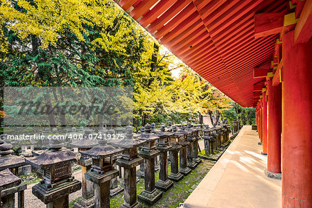 Nara, Japan. Japanese lanterns at Kasuga-taisha Shrine.