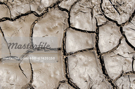 wet earth as texture