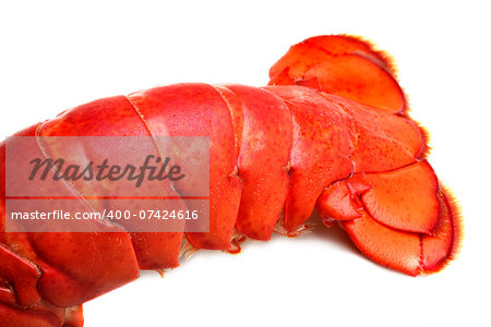Lobster tail on white background