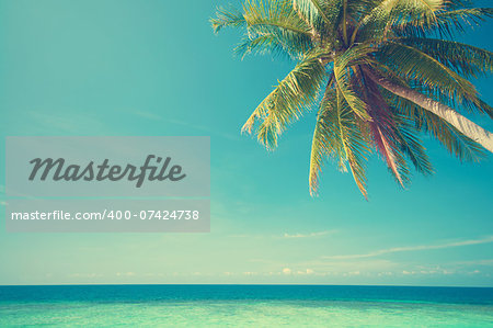Retro vintage style summer sea view with coconut tree at Perhentian island, Malaysia