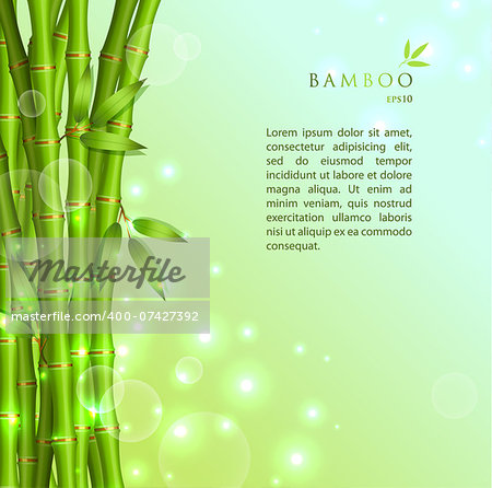 Vector illustration of Background with green bamboo eps 10