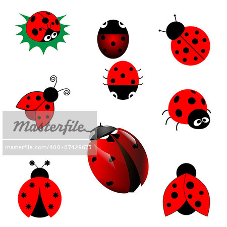 set of ladybugs in vector