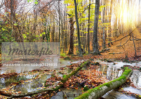 Cascade mountain river in a forest in autumn