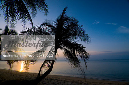 Such sunset sometimes you can see in Thailand. This is wonderful combination: sea, beach and palms.