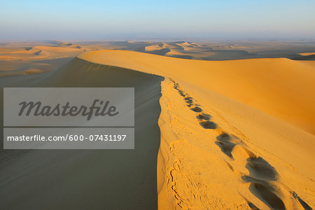 Scenic overview and Footprints on top of Sand Dune, Matruh, Great Sand Sea, Libyan Desert, Sahara Desert, Egypt, North Africa, Africa