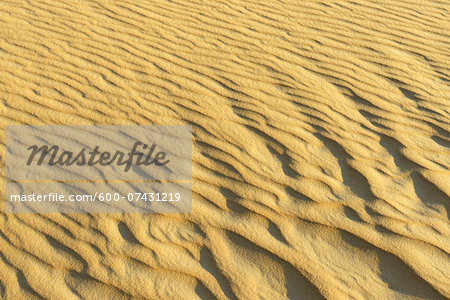 Close-up of Sand Dune Patterns, Matruh, Great Sand Sea, Libyan Desert, Sahara Desert, Egypt, North Africa, Africa
