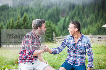 Two male friends shaking hands, Tyrol Austria