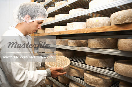 Worker examining cheese round at farm factory