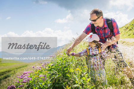 Father and daughter looking at plants, Tyrol, Austria Father and daughter looking at plants, Tyrol, Austria