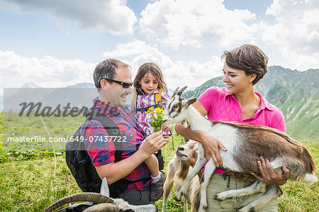 Parents and daughter feeding goats, Tyrol, Austria
