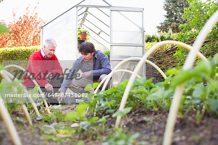 Father and adult son planting in garden