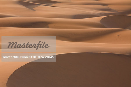 Namib Desert, Namibia