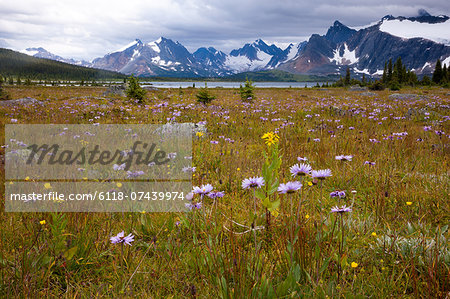 Jasper National Park, Alberta, Canada