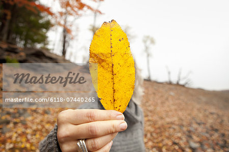 A woman holding out an autumn leaf obscuring her face.