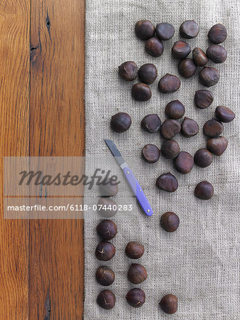 Chestnuts being prepared for roasting. Tabletop, hessian fabric and knife. Chestnuts being prepared for roasting. Tabletop, hessian fabric and knife.