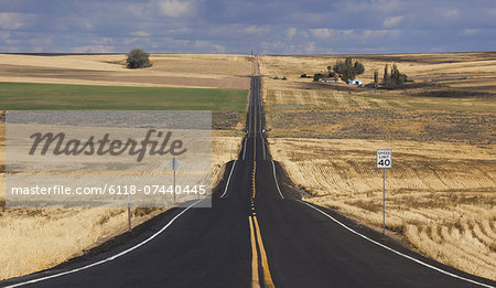 A straight rural road through crops fields, stretching into the distance at  Palouse, Washington