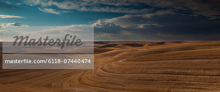 Farmland landscape, with ploughed fields and furrows in Palouse, Washington, USA